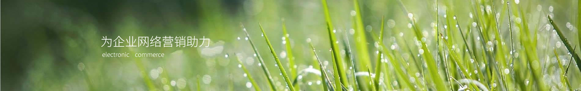 شҵ޹˾